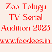 Zee Telugu TV Serial Audition 2023 Registration Casting Calls. 3 Zee Telugu TV Serial Audition 2023