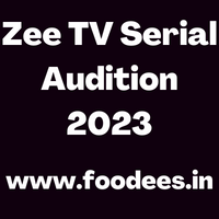 Zee TV Serial Audition 2023