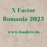 How to Apply X Factor Romania 2023 Application Registration Dates 5 How to Apply X Factor Romania 2023 Application Registration Dates