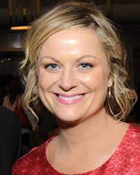 Baking IT Season 3 Application Start Date Contestants 2 Amy Poehler